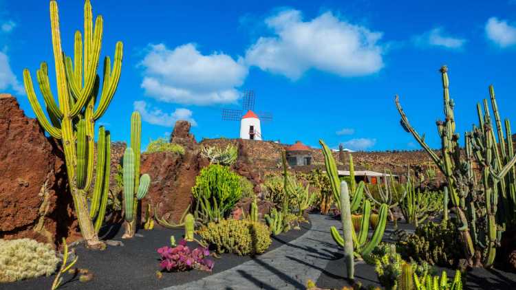 Canarische eilanden: Lanzarote