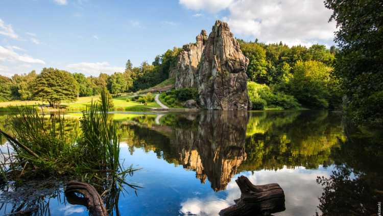 Teutoburg Forest foto