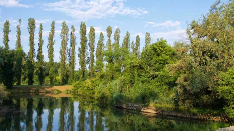 Parco Naturale del Fiume Sile