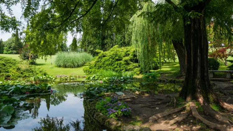 Parco Giardino Sigurtà