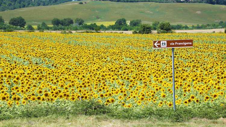 Via Francigena