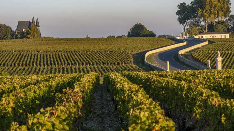 Du Médoc aux rives de l'estuaire