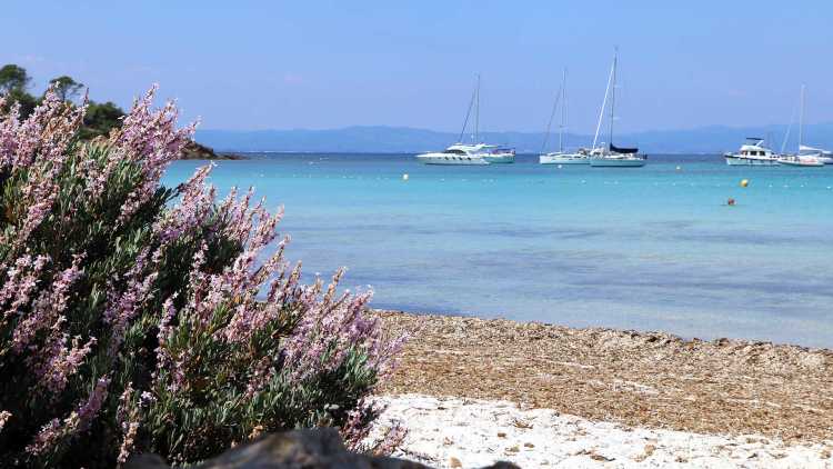 La plage d’Argent, sur l’île de Porquerolles(83)