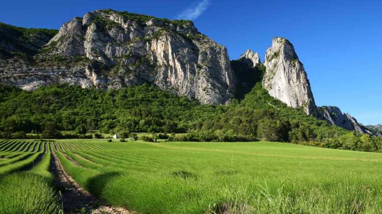 La forêt de Saou et ses nombreuses randonnées