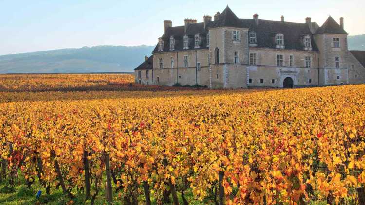 Château du Clos de Vougeot