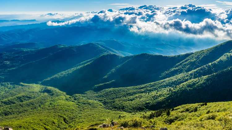 Parc del Montseny