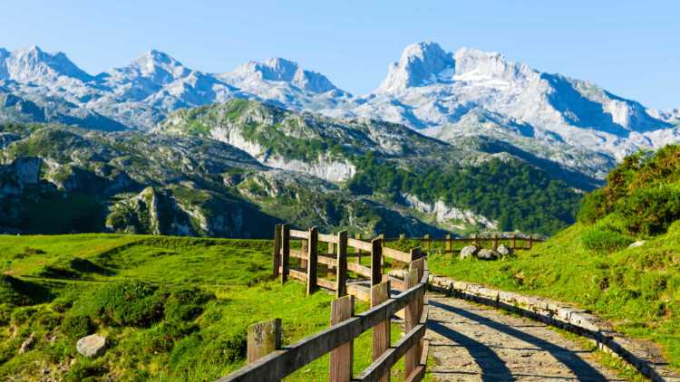 Picos de Europa