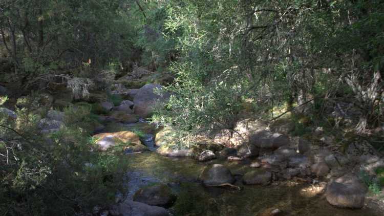 Presillas de Rascafría