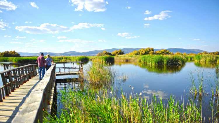 parques naturales de andalucia