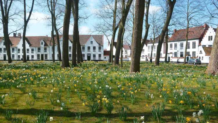 Les maisons de polder blanches