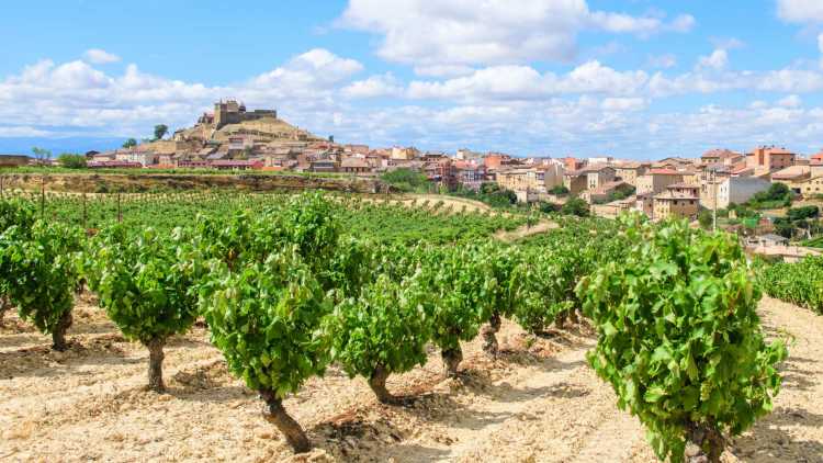 Rutas por el norte de España en coche - La Rioja