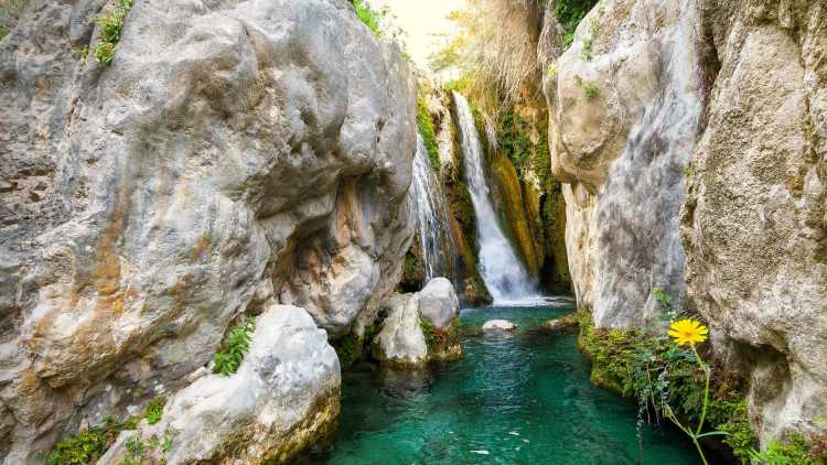 Fuentes del Algar