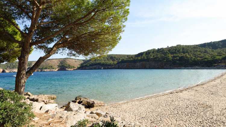 Cala de Montgó en Torroella de Montgrí