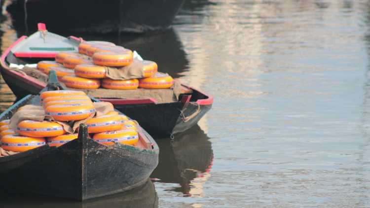 Les fromages sont acheminés en bateau à Alkmaar