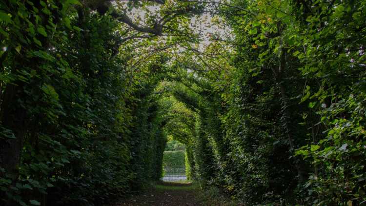 Le labyrinthe du Château de Freÿr à Hastière