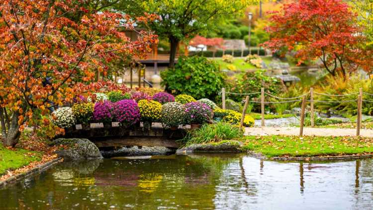 Jardin japonais: Hasselt