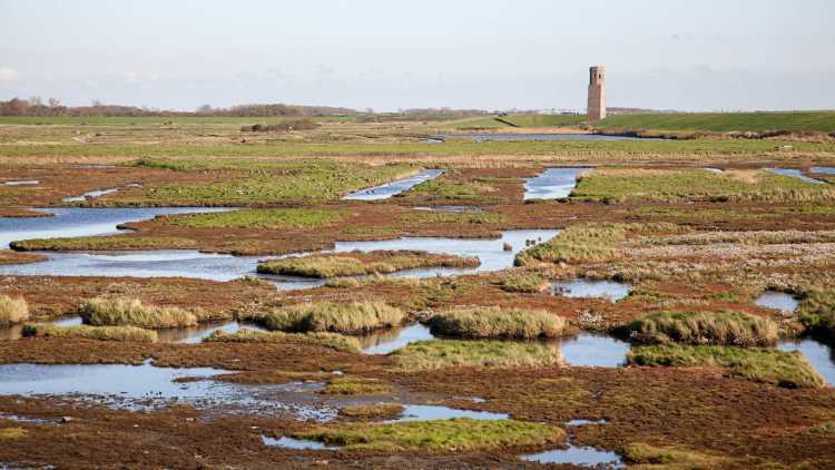 Parc national Oosterschelde