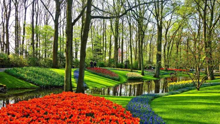 Planifiez votre visite à Keukenhof