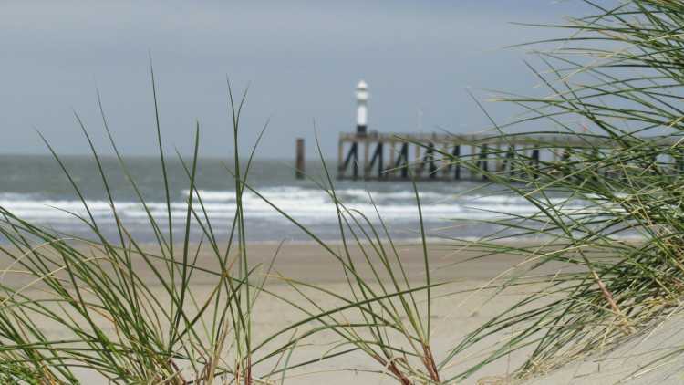 Plage de Lombardsijde