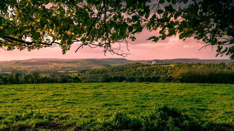 Paysage coucher du soleil