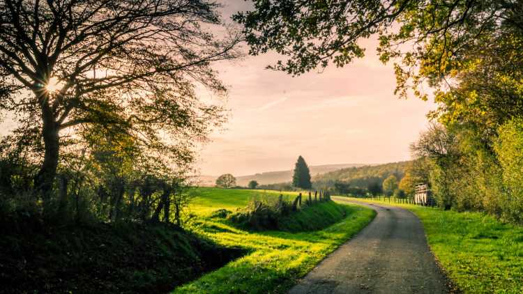 Paysage en Belgique