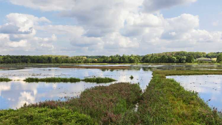 Provinciedomein Het Vinne Zoutleeuw