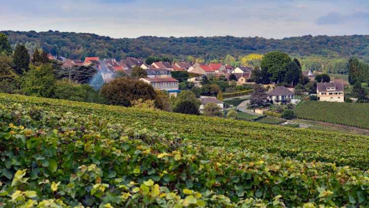 champagnestreek, champagne ardenne, reizen naar frankrijk