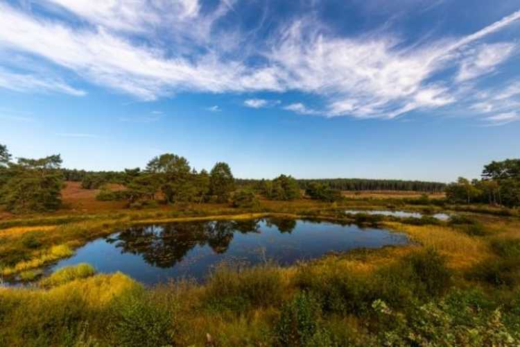 nationaal park hoge kempen, parken, natuurgebied, natuurpark