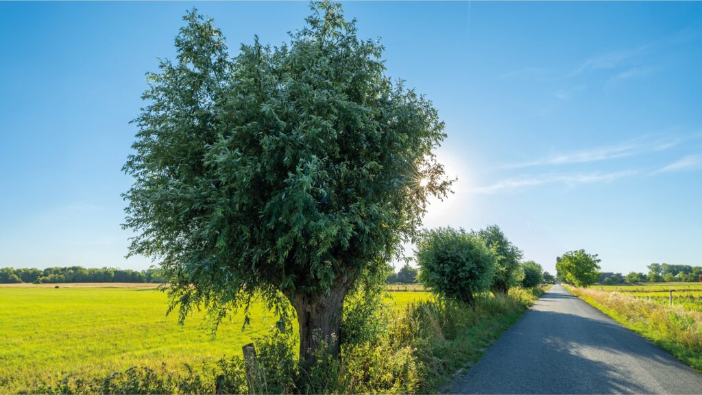 beleef-de-niederrhein-een-oase-van-natuur-en-welzijn